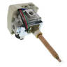100109724 Ao Smith Thermostat