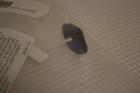 8330-3101 Coleman One New Room Temperature Sensor 8330-3101 Coleman One New Room Temperature Sensor