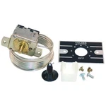 Allpoints Select 461527 Cold Control W/ 66 Capillary. Fixed Price $29.30.