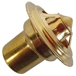 Thermostat 387533R91 Fits Case 400 450 600 650 W6 W9. Fixed Price $46.73.