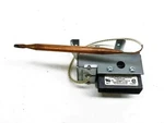 Johnson Electric Thermostat 60062002K Nos. Fixed Price $62.99.