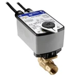 Johnson Controls VG1245AF+943GGA Brass Actuator Valve Controller 2-WAY 1/2". Fixed Price $149.00.