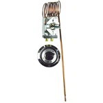 Robertshaw 5300-651 Electric THERMOSTAT,120/277VAC,550F Max 6KXJ9. Fixed Price $151.31.