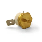 Clean Burn Thermostat: Manual/auto Reset: 33288. Fixed Price $79.00.
