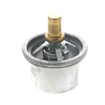 2 Thermostats For Caterpillar Multiple Engines Oe# 7C3095, 1393550, 7C-3095. Fixed Price $151.80.