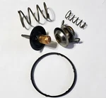 Oem Coolant Thermostat And Seal Kit- 2005-2018 Aston Martin V8 Vantage. Fixed Price $82.45.