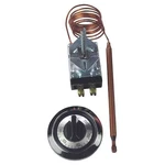 Robertshaw 5300-613 Electric Cooking Control, 120/240V. Fixed Price $167.99.