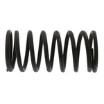 Johnson Controls VG7000-1006 Valve Spring Kit 9-13 Psi. Fixed Price $52.48.