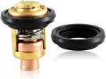 High-quality Thermostat With Gasket For Johnson Evinrude Outboard Motors. Fixed Price $22.19.